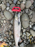 Catch Caddie, Fish Carrier (New Release)